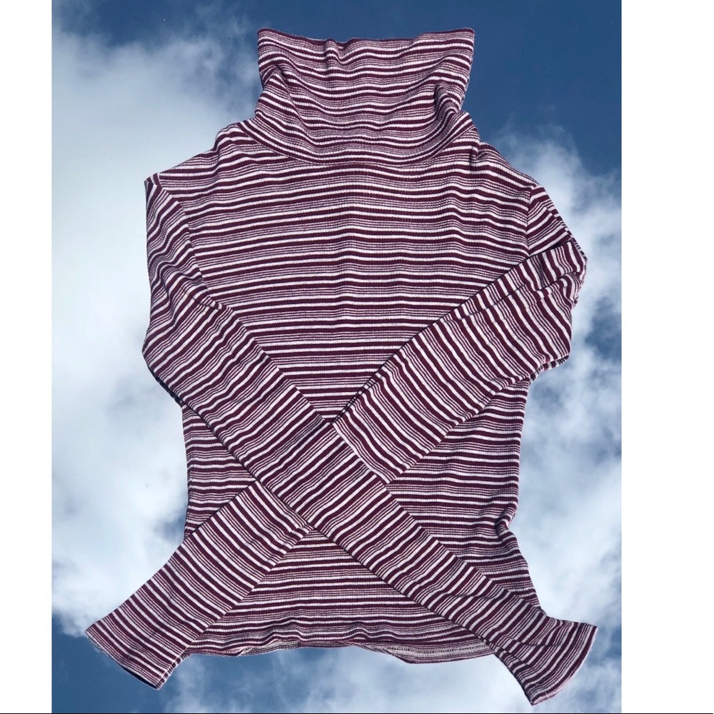 Maroon and Gray Striped Cropped Turtle Neck
